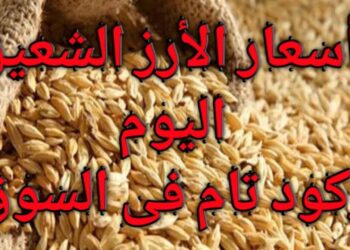 سعر الأرز الشعير اليوم تعرف على التحديثات الأخيرة
