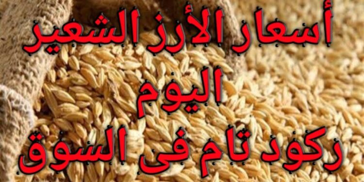 سعر الأرز الشعير اليوم تعرف على التحديثات الأخيرة 1 سعر الأرز الشعير اليوم تعرف على التحديثات الأخيرة