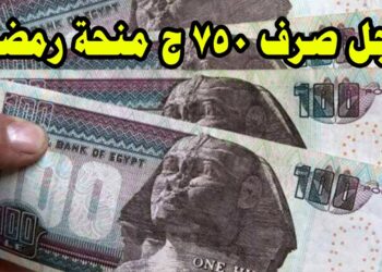 وزير النقل يقرر صرف 750 جنيها منحة رمضان للمستحقين رسميًا