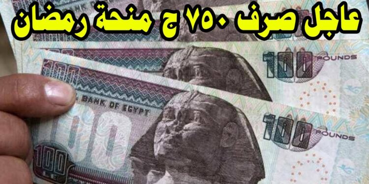 وزير النقل يقرر صرف 750 جنيها منحة رمضان للمستحقين رسميًا 1 وزير النقل يقرر صرف 750 جنيها منحة رمضان للمستحقين رسميًا