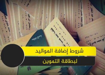 إضافة المواليد الوزارة تؤكد استمرار العملية دون توقف