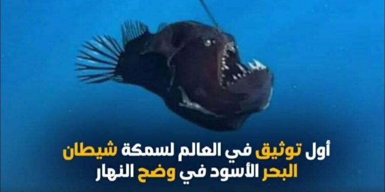 الشيطان الأسود يظهر بشكل مفاجئ على سطح البحر في وضح النهار