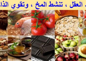 أفضل الأطعمة والمشروبات للحفاظ على الذاكرة مع تقدم السن