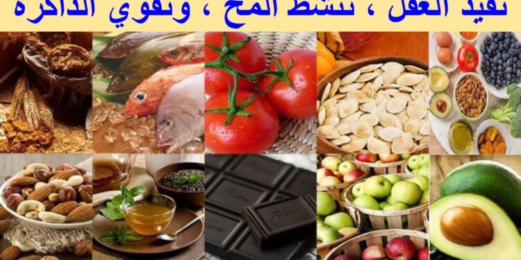 أفضل الأطعمة والمشروبات للحفاظ على الذاكرة مع تقدم السن 1 أفضل الأطعمة والمشروبات للحفاظ على الذاكرة مع تقدم السن