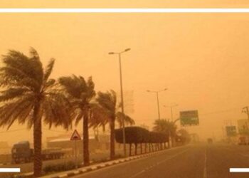 الطقس في أبو الزعابيب وتفاصيل تاريخ اليوم في شهر أمشير 2025