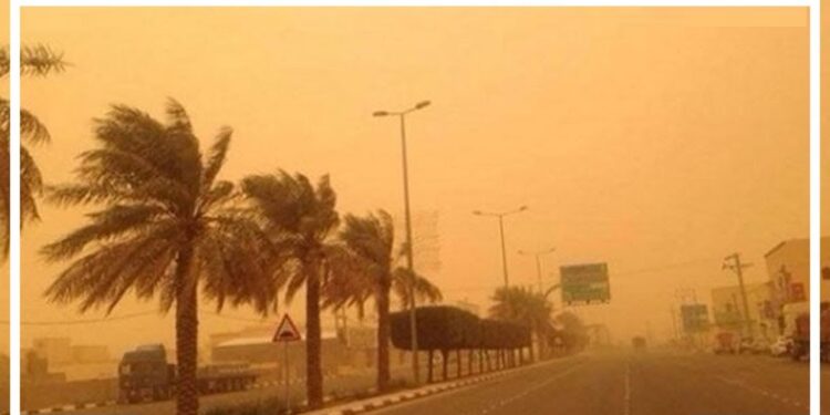 الطقس في أبو الزعابيب وتفاصيل تاريخ اليوم في شهر أمشير 2025 1 الطقس في أبو الزعابيب وتفاصيل تاريخ اليوم في شهر أمشير 2025