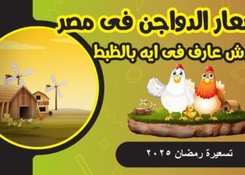 أسعار الدواجن في الأسواق اليوم 25 فبراير 2025 بعد الزيادة الأخيرة وكرتونة البيض المفاجئة