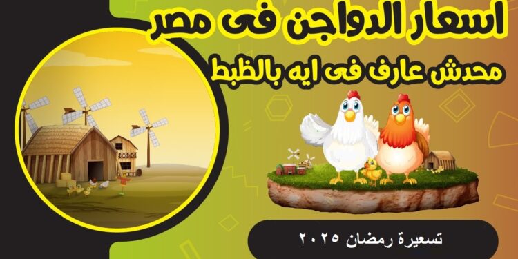 أسعار الدواجن في الأسواق اليوم 25 فبراير 2025 بعد الزيادة الأخيرة وكرتونة البيض المفاجئة 1 أسعار الدواجن في الأسواق اليوم 25 فبراير 2025 بعد الزيادة الأخيرة وكرتونة البيض المفاجئة