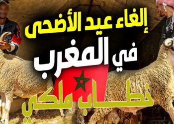 المغرب يعلن عن إلغاء الذبح في عيد الأضحى المبارك 2025.. السبب وراء هذا القرار