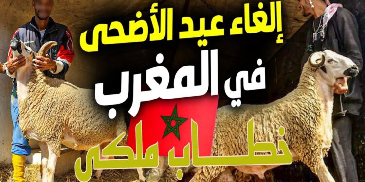 المغرب يعلن عن إلغاء الذبح في عيد الأضحى المبارك 2025.. السبب وراء هذا القرار 1 المغرب يعلن عن إلغاء الذبح في عيد الأضحى المبارك 2025.. السبب وراء هذا القرار