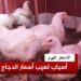 أسعار الدواجن في السوق المصري اليوم السبت 1 فبراير 2025 2 أسعار الدواجن في السوق المصري اليوم السبت 1 فبراير 2025