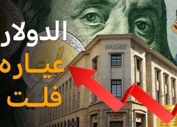 سعر الدولار أمام الجنيه المصري اليوم الإثنين 3 فبراير 2025 معلومات هامة