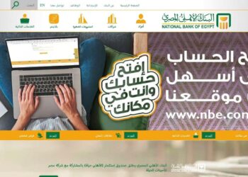 فقدت فيزا المرتبات؟ تعلم كيفية التعامل مع الموقف بخطوات سريعة