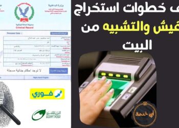 طريقة استخراج الفيش والتشبيه أونلاين في 2025 الشروط والرابط الكامل