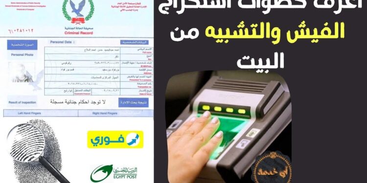 طريقة استخراج الفيش والتشبيه أونلاين في 2025 الشروط والرابط الكامل 1 طريقة استخراج الفيش والتشبيه أونلاين في 2025 الشروط والرابط الكامل