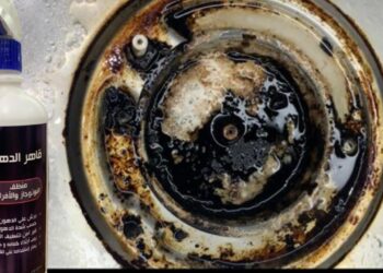 سر خطير لتقليل الدهون بسهولة بزيت مستعمل وسلكة بـ نص جنيه!