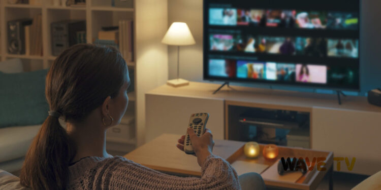 اشتراك هولك سنة استثمر في تجربة مشاهدة IPTV طويلة الأمد 1 اشتراك هولك