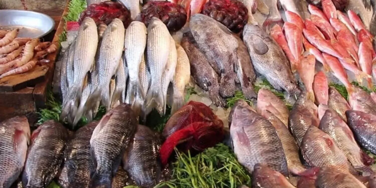 أسعار الأسماك والمأكولات البحرية لهذا اليوم الإثنين