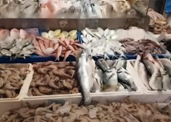 أسعار الأسماك اليوم 12 إبريل 2025 أحدث التغيرات في الأسواق المحلية