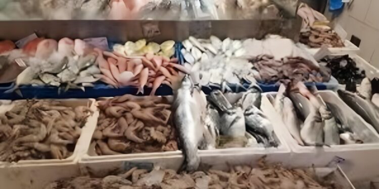 أسعار الأسماك اليوم 12 إبريل 2025 أحدث التغيرات في الأسواق المحلية 1 أسعار الأسماك اليوم 12 إبريل 2025 أحدث التغيرات في الأسواق المحلية