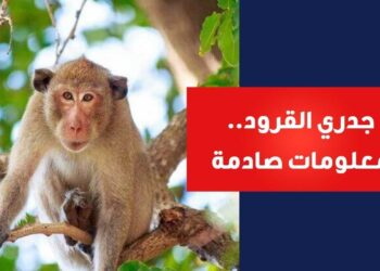 فيروس جدري القرود يضرب إفريقيا من جديد وسط مخاوف صحية