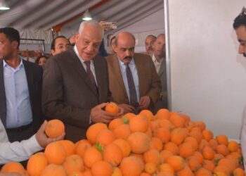 أسعار الخضروات والفاكهة اليوم الثلاثاء 22 أبريل 2025 أعرف سعر الفراولة