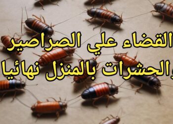 نصائح مجربة للتخلص من الحشرات الصغيرة في منزلك