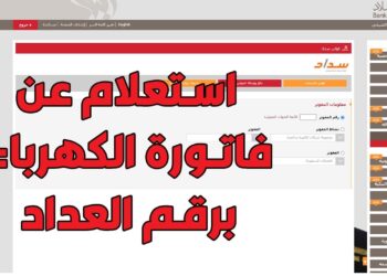 سداد فاتورة الكهرباء لشهر أبريل 2025 إلكترونيًا