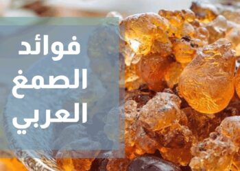الصمغ العربي والإمساك حقيقة أم خرافة؟ إليك فوائده اليومية