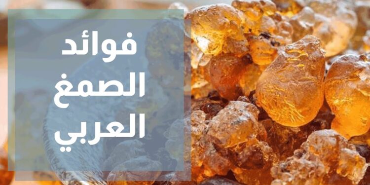 الصمغ العربي والإمساك حقيقة أم خرافة؟ إليك فوائده اليومية 1 الصمغ العربي والإمساك حقيقة أم خرافة؟ إليك فوائده اليومية