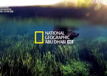 تردد قناة ناشيونال جيوغرافيك 2025 شاهد الطبيعة في أفضل صورة وجودة HD مجانًا