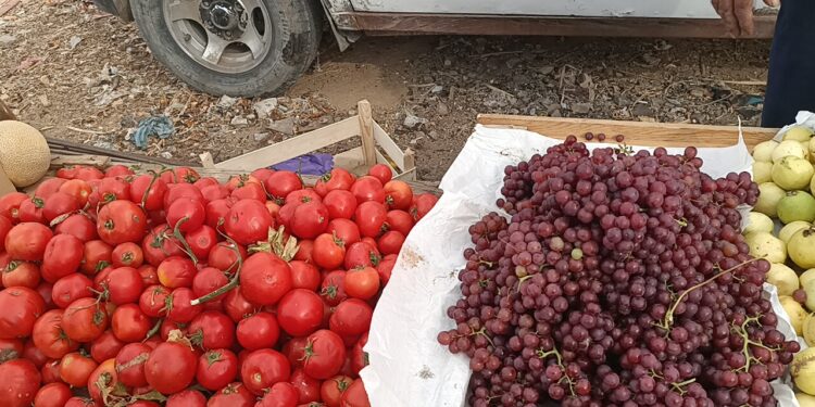 أسعار الخضروات في العبور السبت 26 أبريل.. الليمون يسجل 75 جنيهًا والطماطم 3.5 1 أسعار الخضروات في العبور السبت 26 أبريل.. الليمون يسجل 75 جنيهًا والطماطم 3.5