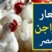 الدواجن رخصت النهارده بشكل كبير.. اعرف السعر الجديد