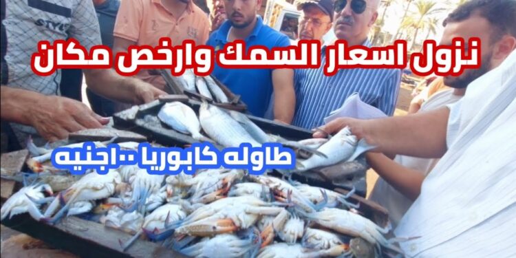 أسعار الأسماك والجمبري في الأسواق اليوم الأربعاء 9 أبريل 2025 البوري بـ 165 جنيهًا 1 أسعار الأسماك والجمبري في الأسواق اليوم الأربعاء 9 أبريل 2025 البوري بـ 165 جنيهًا