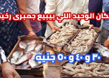 أسعار الأسماك والجمبري في الأسواق اليوم السبت 26 أبريل 2025 البلطي بسعر 82 جنيهًا