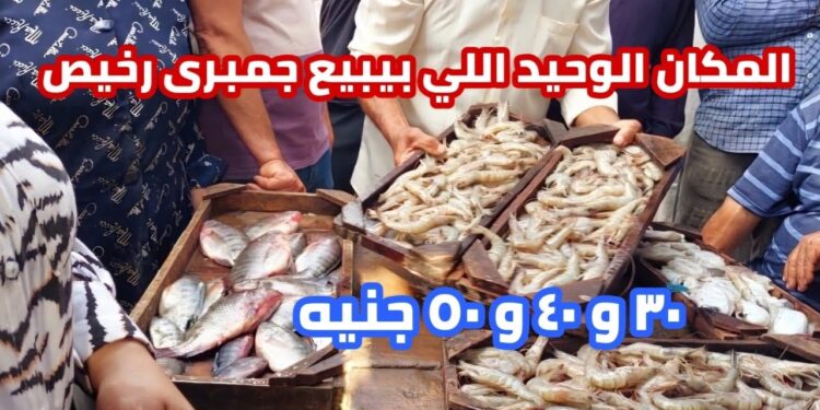 أسعار الأسماك والجمبري في الأسواق اليوم السبت 26 أبريل 2025 البلطي بسعر 82 جنيهًا 1 أسعار الأسماك والجمبري في الأسواق اليوم السبت 26 أبريل 2025 البلطي بسعر 82 جنيهًا