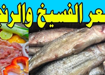 أسعار الفسيخ والرنجة اليوم في الغربية بمناسبة عيد الفصح السبت 12 أبريل 2025