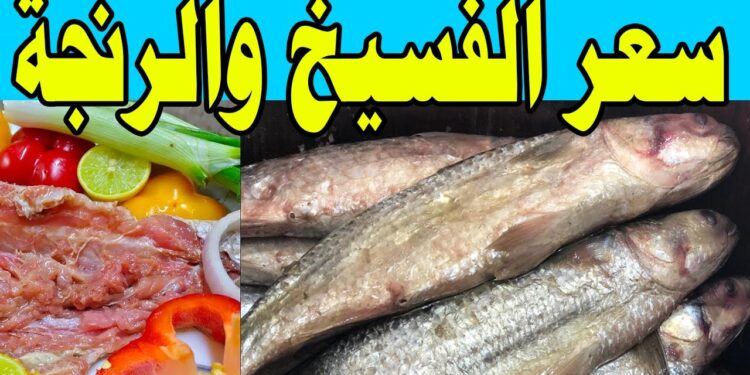 أسعار الفسيخ والرنجة اليوم في الغربية بمناسبة عيد الفصح السبت 12 أبريل 2025