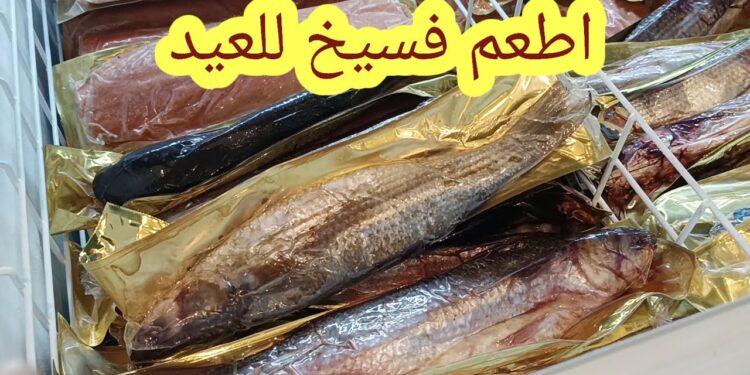 أسعار الفسيخ والرنجة اليوم في الأسواق استعدادًا لشم النسيم 1 أسعار الفسيخ والرنجة اليوم في الأسواق استعدادًا لشم النسيم