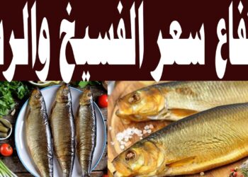 أسعار الأسماك المملحة والفسيخ والرنجة في أسواق الغربية لهذا اليوم