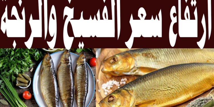 أسعار الأسماك المملحة والفسيخ والرنجة في أسواق الغربية لهذا اليوم 1 أسعار الأسماك المملحة والفسيخ والرنجة في أسواق الغربية لهذا اليوم