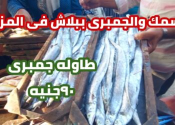 أسعار الأسماك والجمبري اليوم الأحد 20 أبريل 2025: متابعة حية للأسعار