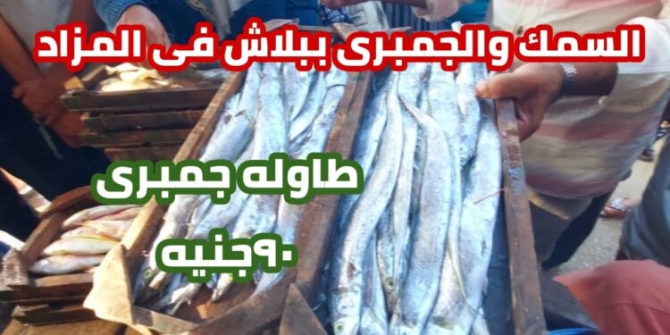 أسعار الأسماك والجمبري اليوم الأحد 20 أبريل 2025: متابعة حية للأسعار 1 أسعار الأسماك والجمبري اليوم الأحد 20 أبريل 2025: متابعة حية للأسعار