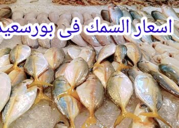 أسعار الأسماك والجمبري في الأسواق اليوم الثلاثاء 22 أبريل 2025