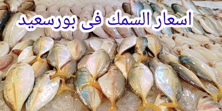 أسعار الأسماك والجمبري في الأسواق اليوم الثلاثاء 22 أبريل 2025 1 أسعار الأسماك والجمبري في الأسواق اليوم الثلاثاء 22 أبريل 2025