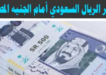 سعر الريال السعودي أمام الجنيه المصري في البنوك المصرية اليوم السبت 19 أبريل 2025