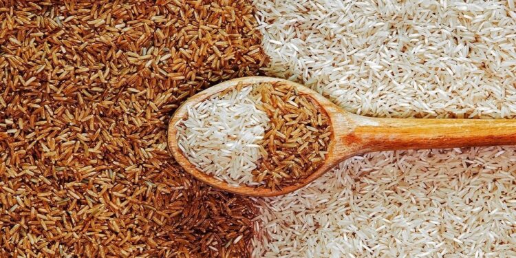 أسعار الأرز والدقيق في الغربية آخر التحديثات اليوم الإثنين 7 أبريل 2025 1 أسعار الأرز والدقيق في الغربية آخر التحديثات اليوم الإثنين 7 أبريل 2025