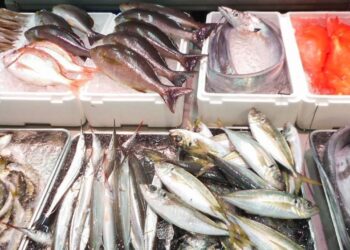 أسعار السمك والفسيخ والرنجة اليوم السبت في الأسواق – آخر التحديثات