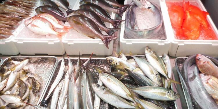 أسعار السمك والفسيخ والرنجة اليوم السبت في الأسواق – آخر التحديثات