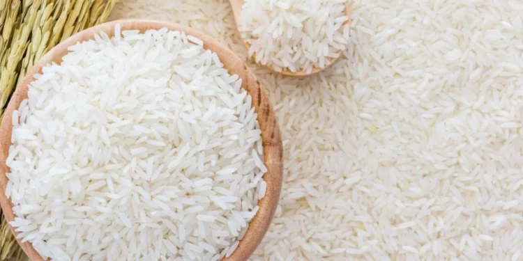 سعر طن الأرز الشعير اليوم السبت 19 أبريل 2025 في مصر للمستهلكين والتجار